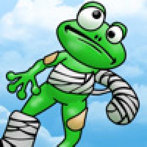  PinFrog (2009). Нажмите, чтобы увеличить.