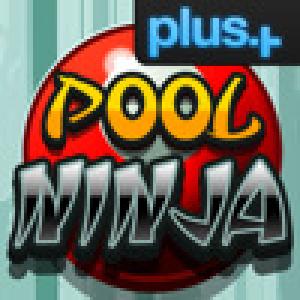  Pool Ninja (2010). Нажмите, чтобы увеличить.