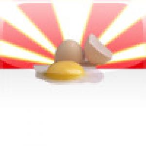  Protect The Egg (2008). Нажмите, чтобы увеличить.