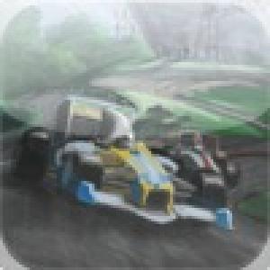  Racecar (2010). Нажмите, чтобы увеличить.