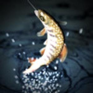  Real Fishing (2010). Нажмите, чтобы увеличить.