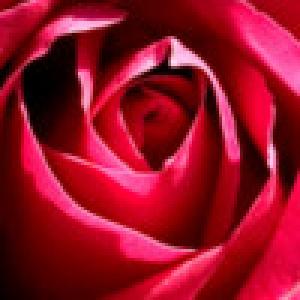  Rose Collage Theme (2009). Нажмите, чтобы увеличить.