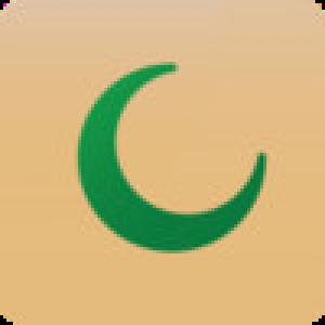  Salat (2009). Нажмите, чтобы увеличить.