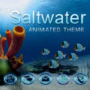  Saltwater (2009). Нажмите, чтобы увеличить.