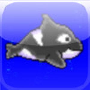  Shachi Dive (2009). Нажмите, чтобы увеличить.