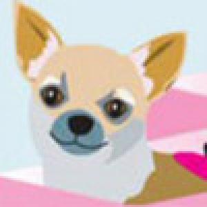  Shoewawa (2009). Нажмите, чтобы увеличить.