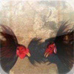  SlasherDerby (2010). Нажмите, чтобы увеличить.