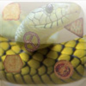  Snacky Snake (2008). Нажмите, чтобы увеличить.