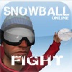  SnowBall Battle (2009). Нажмите, чтобы увеличить.