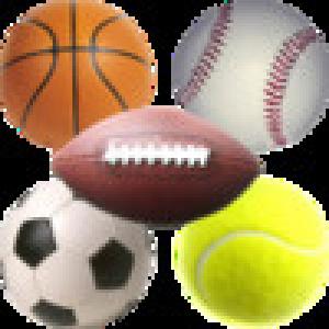  Sport Light (2009). Нажмите, чтобы увеличить.