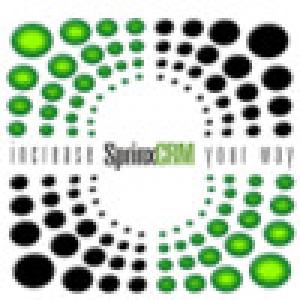  SprinxCRM (2009). Нажмите, чтобы увеличить.