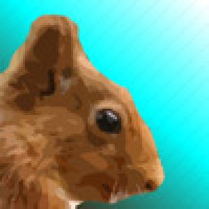  Squirrel Arcade (2010). Нажмите, чтобы увеличить.