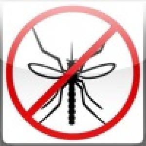  Stop Fly (2009). Нажмите, чтобы увеличить.