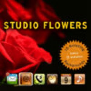  Studio Flowers (2009). Нажмите, чтобы увеличить.