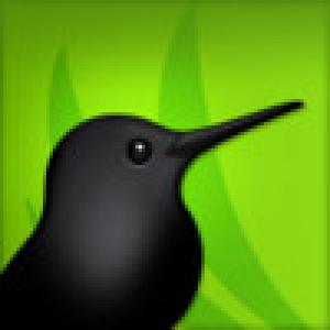  SugarSync (2009). Нажмите, чтобы увеличить.