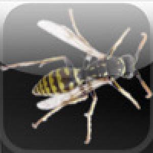  Swarm (2008). Нажмите, чтобы увеличить.