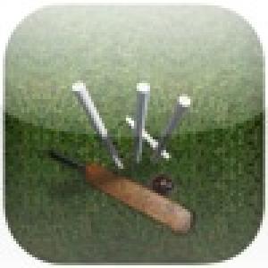  Swing Cricket (2010). Нажмите, чтобы увеличить.