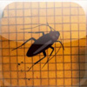  THAT ROACH GAME (2009). Нажмите, чтобы увеличить.