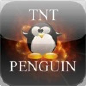  TNT Penguin (2010). Нажмите, чтобы увеличить.
