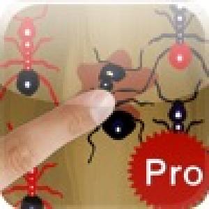  Tap Tap Ants Pro (2010). Нажмите, чтобы увеличить.