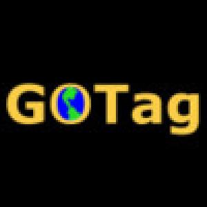  Ten-20 GOTag Version 12 (2009). Нажмите, чтобы увеличить.