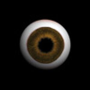  The Watcher (2009). Нажмите, чтобы увеличить.