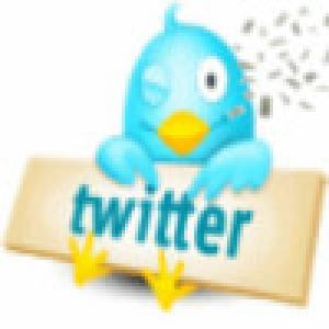  Tweet Chip (2009). Нажмите, чтобы увеличить.