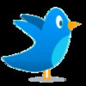  Tweet Pro (2009). Нажмите, чтобы увеличить.