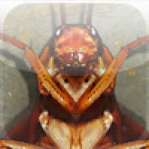  VERMINATOR (2009). Нажмите, чтобы увеличить.