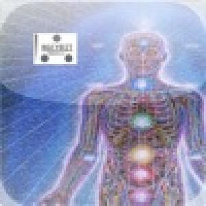  Vibrometer (2010). Нажмите, чтобы увеличить.