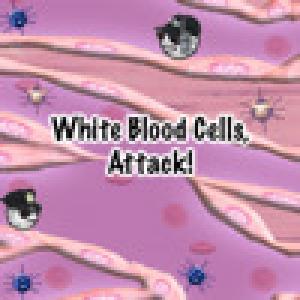 White Blood Cells, Attack! (2009). Нажмите, чтобы увеличить.