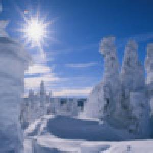  Winter Wonderland Theme (2009). Нажмите, чтобы увеличить.