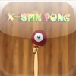  x-spin pong (2010). Нажмите, чтобы увеличить.