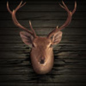  Ace Deer Hunter (2010). Нажмите, чтобы увеличить.