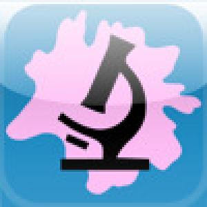  Amoeba (2009). Нажмите, чтобы увеличить.