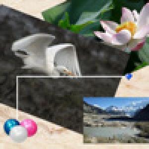  BallCut (2010). Нажмите, чтобы увеличить.