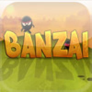  Banzai - Ninja Sports (2009). Нажмите, чтобы увеличить.