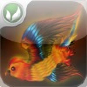  Beast Flyers! (2010). Нажмите, чтобы увеличить.