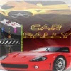  Car Rally (2010). Нажмите, чтобы увеличить.