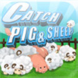  Catch Sheeps&Pigs (2009). Нажмите, чтобы увеличить.