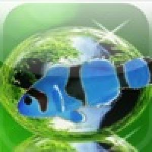  Cute Fishy Game (2009). Нажмите, чтобы увеличить.