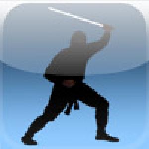  Flip Ninja (2009). Нажмите, чтобы увеличить.