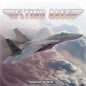  Flying Aces (2009). Нажмите, чтобы увеличить.