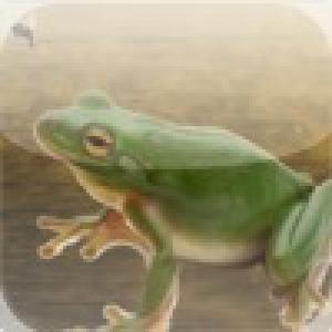  Frog Hopper - Fun Lily Pad Jumping Game (2010). Нажмите, чтобы увеличить.