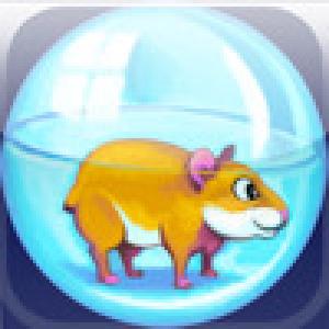  HyperHamster (2008). Нажмите, чтобы увеличить.