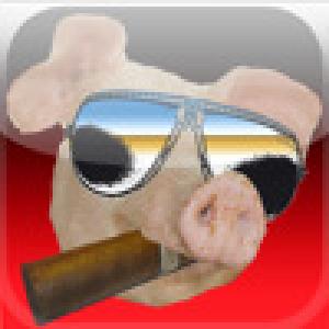  iSwineFlu (2009). Нажмите, чтобы увеличить.