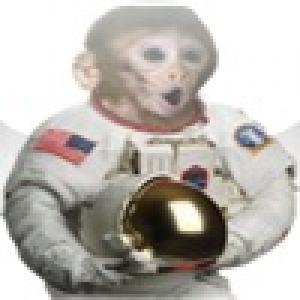  JoJoChimp (2009). Нажмите, чтобы увеличить.