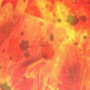  Mind Gutter (2010). Нажмите, чтобы увеличить.