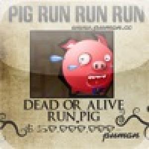  Pig Run (2010). Нажмите, чтобы увеличить.