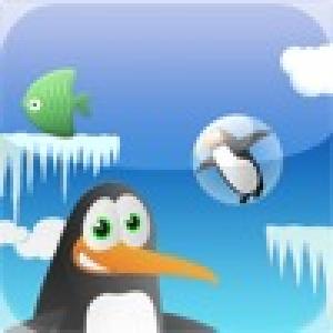  Pingy Jumper - Penguins CAN fly!! (2010). Нажмите, чтобы увеличить.